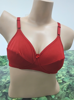 AUSM IRIS - Saree Brassiere | Daily Comfort | Suitable for all Saree's | Branded Quality | Soft & Smooth Brassiere's (IRIS)