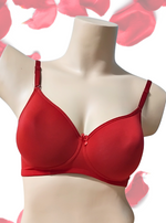 AUSM Willow - Padded Brassiere | Molded Cup for High Coverage | Soft Padded for Superior Comfort | Suitable for T-Shirt & Western Wear (WILLOW)